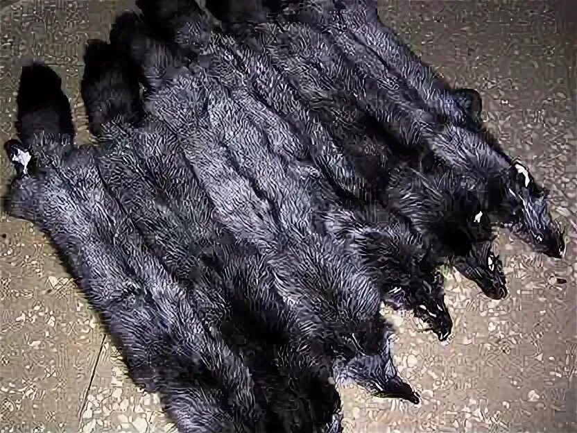 Люди которые убивают животных. Против шуб из натурального меха. Шубы зверохозяйства вятка. Социальная реклама про шубы. Убитый мех.