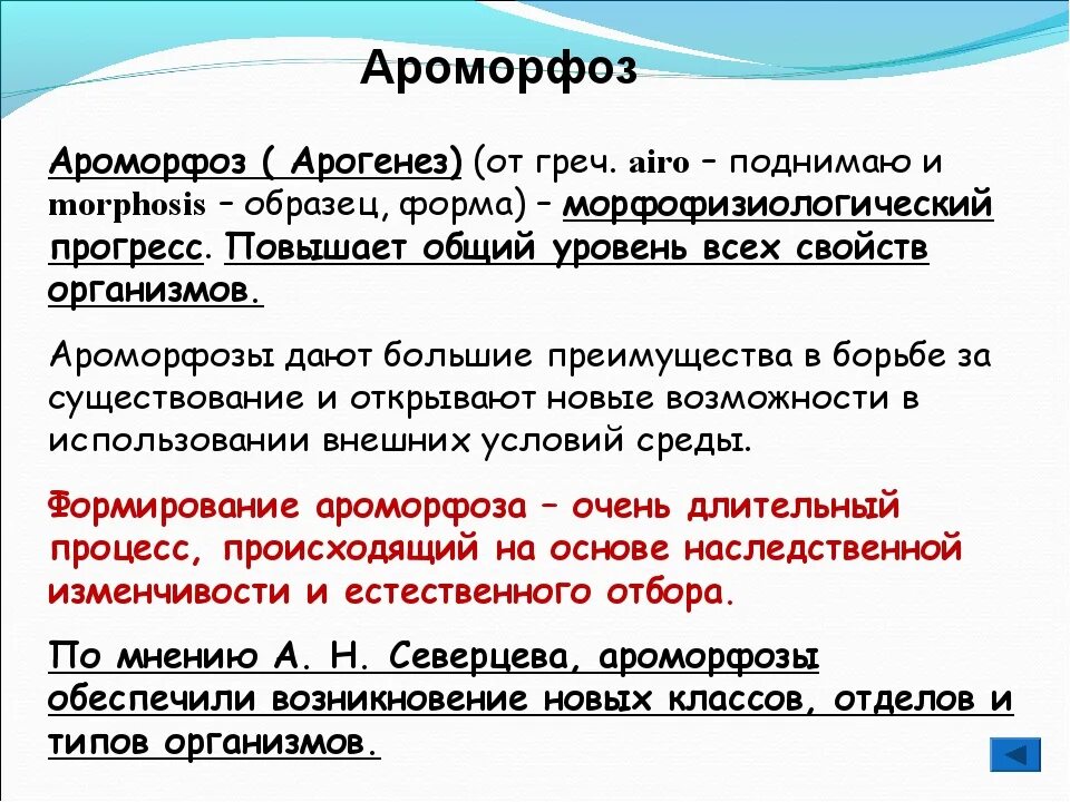 Примером ароморфоза является развитие