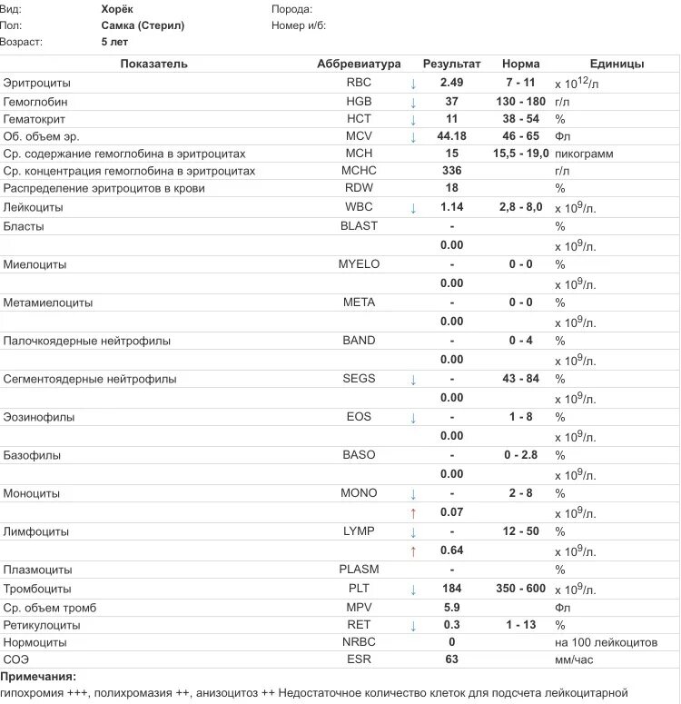 Результат крови соэ. Лейкоциты СОЭ гемоглобин норма. Таблица гемоглобин эритроциты гематокрит. Таблица нормы гемоглобина эритроцитов. Норма эритроцитов гемоглобина тромбоцитов.