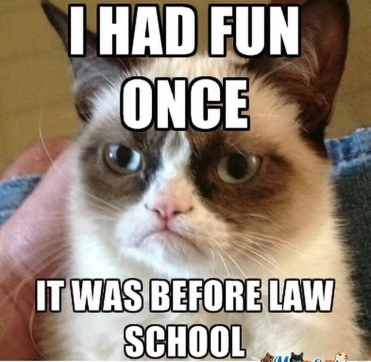Over fun. Law memes. Мемы кот юрист. Memes about Law. Lawyer meme.