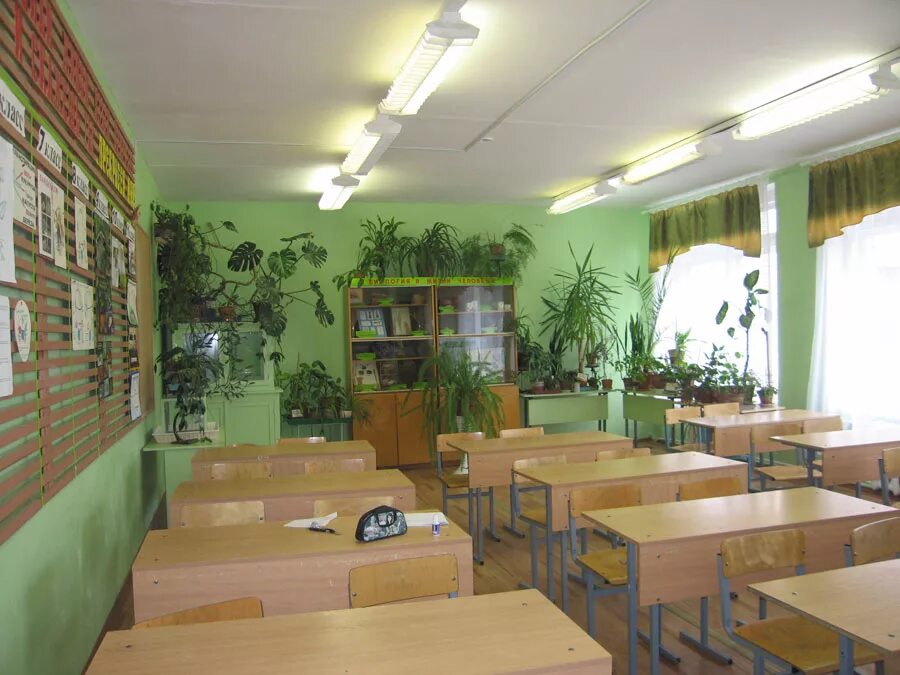 Самый зеленый класс. Класс с зелеными стенами. Зеленый кабинет в школе. Цвет стен в кабинете биологии. Школьный класс зеленого цвета.