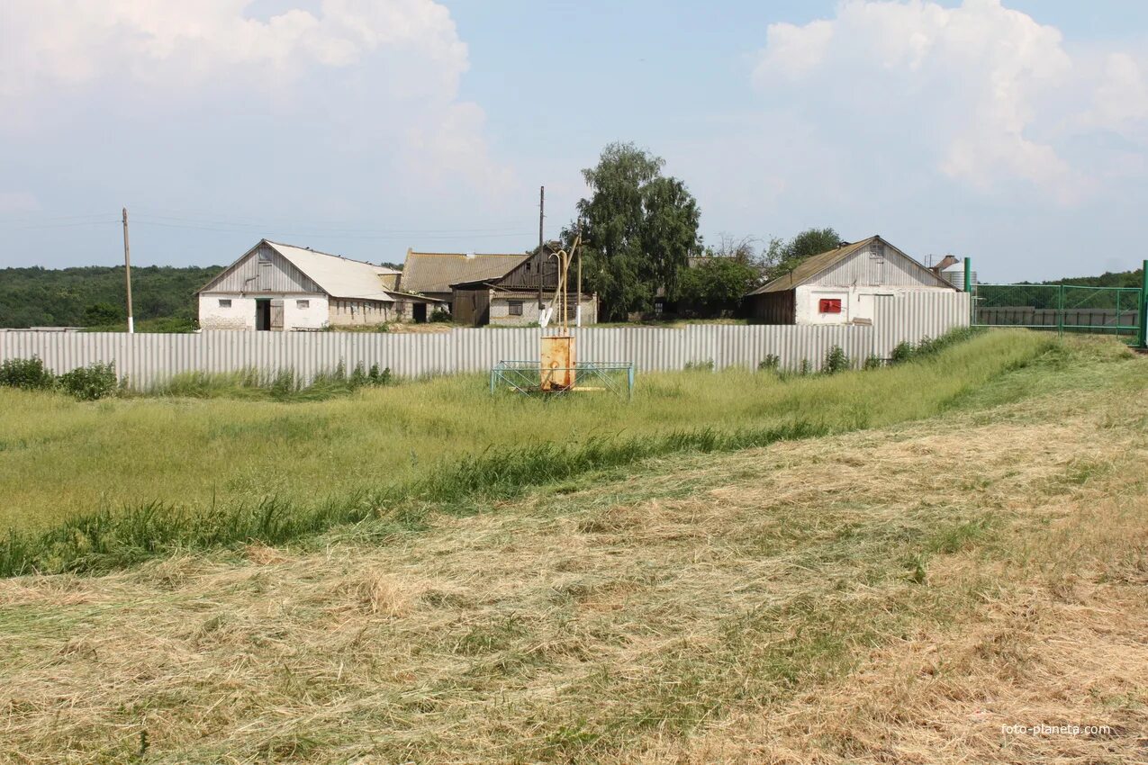 Орловка Саратовская область. Село Орловка Новосибирская область. Орловка Белгородский район. Село Орловка Саратовская область.