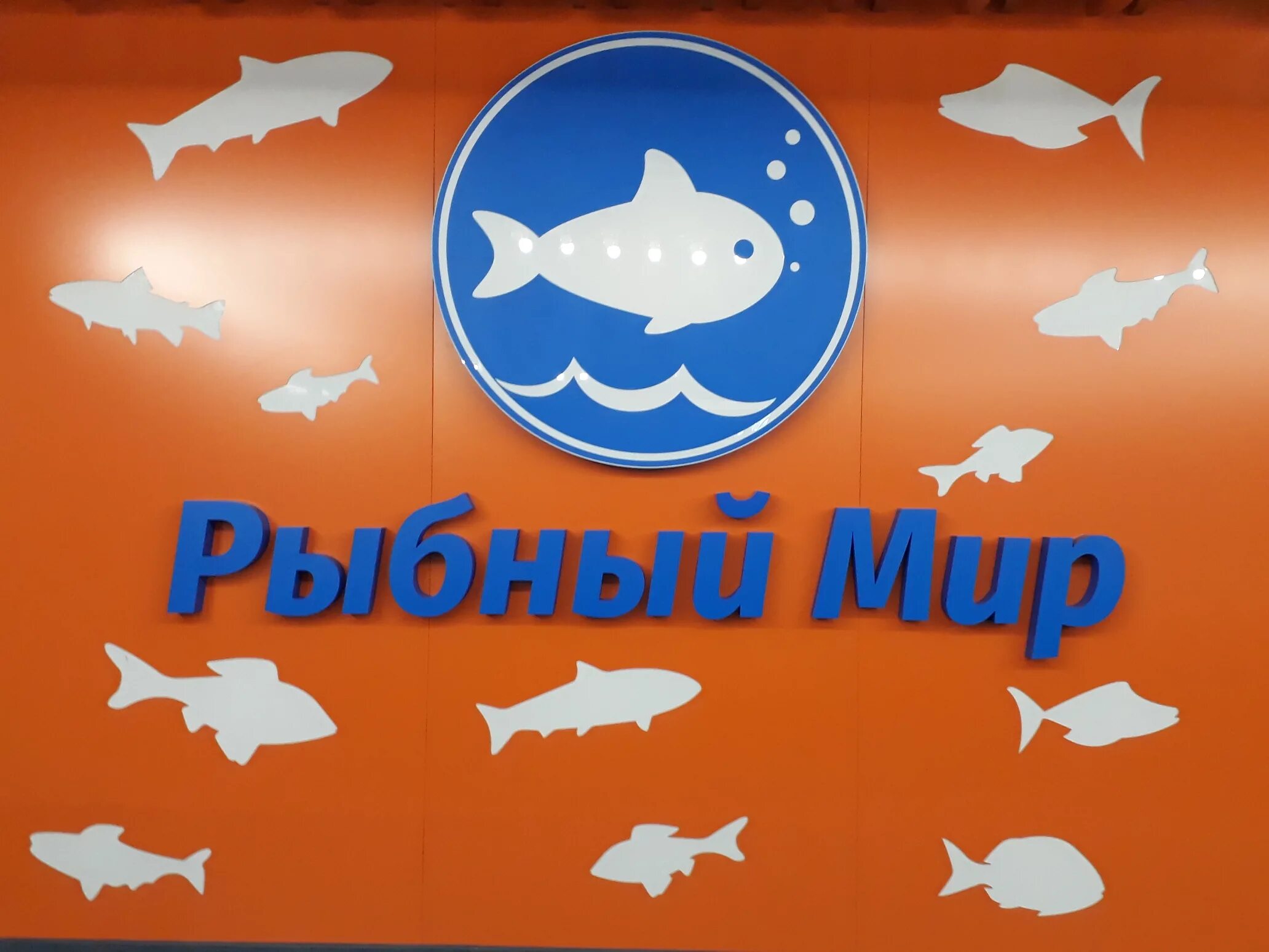 Магазин рыбный мир. Рыба логотип. Рыбный мир магазин. Рыбный мир логотип. Логотип рыбный рай.