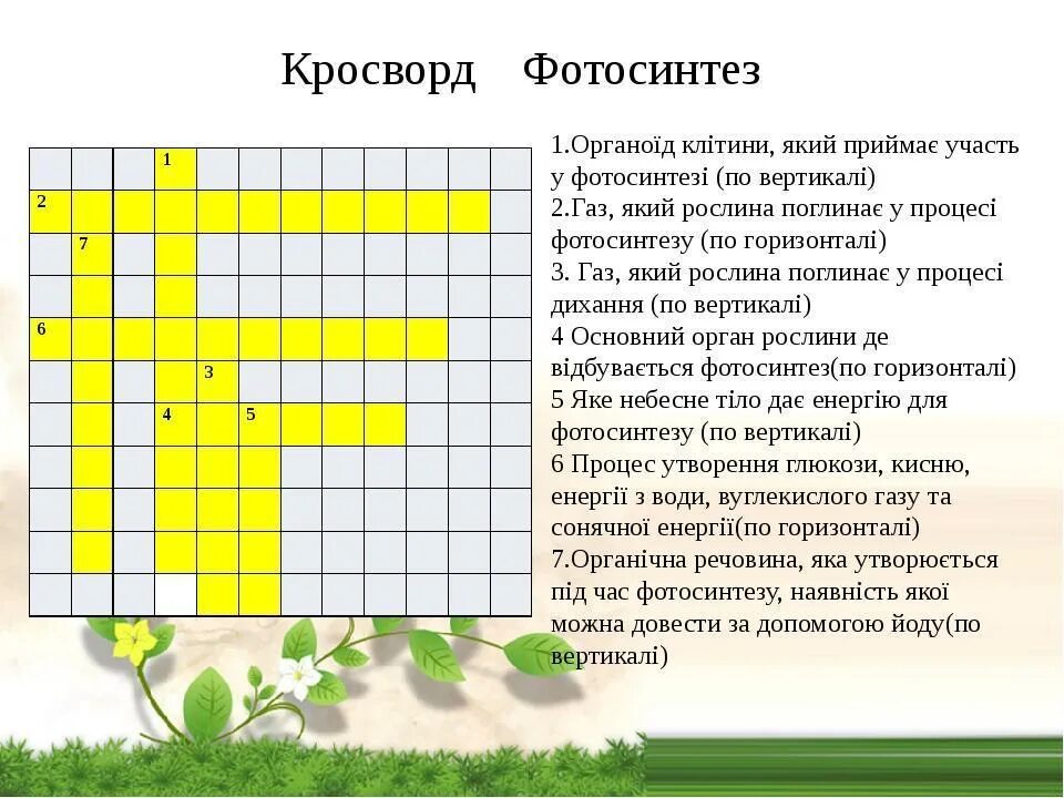 Кроссворд по теме фотосинтез. Фотосинтез кроссворд 6. Кроссворд на тему фотосинтез и дыхание. Кроссворд по биологии 6 класс на тему фотосинтез. Биология 6 класс кроссворд на тему фотосинтез