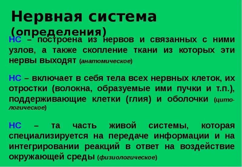 Дайте определение нервной системе. Нервная система определение. Дайте определение нервной системы;. Дать определение нервная система. Нервы определение.