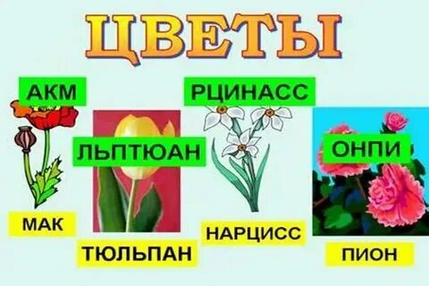 Растения троя