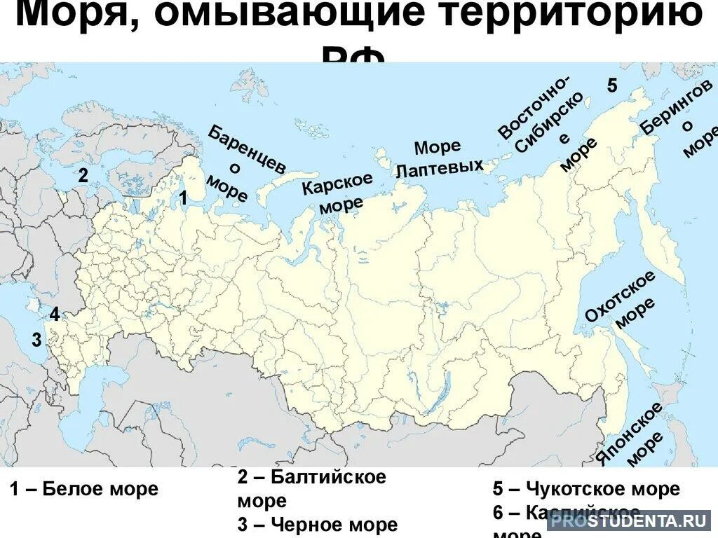 В каком городе находится государственный