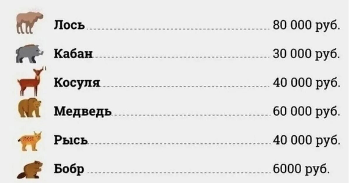 Штрафы за сбитых животных. Таблица штрафов за сбитых животных. Штраф за сбитого животного. Расценки за сбитых животных.