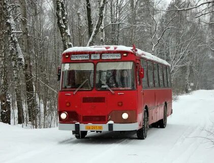 241 62