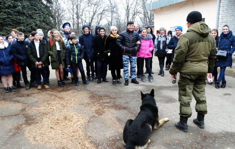 Будни кирдыксель. Новопавловск. МВД Новопавловск. Новопавловске будни. Полиция города Новопавловска фото.