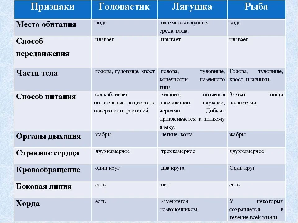 Рыба сходства и различия. Сравнительная характеристика головастика лягушки и рыбы. Таблица по биологии 7 класс сравнительная характеристика рыб. Сравнение рыб и земноводных таблица. Сравнение рыб и земноводных.