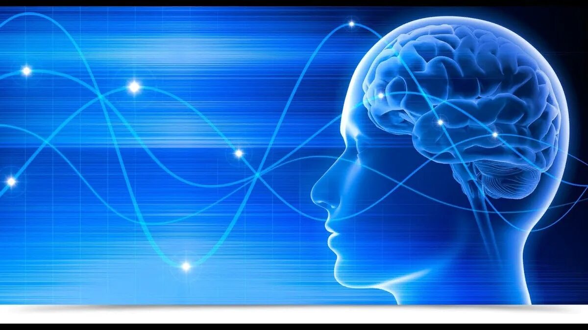 Музыка для памяти мозга слушать. Мозговая активность. Память человека. Мозговые импульсы человека.