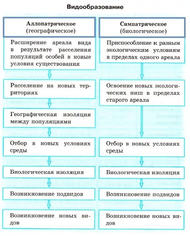 Таблица способов видообразования аллопатрическое и симпатрическое. Типы видообразования аллопатрическое и симпатрическое. Основные пути видообразования. Географический способ видообразования характеристика. Экологическое видообразование возникает в результате