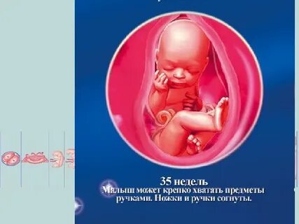 35 неделя беременности что происходит