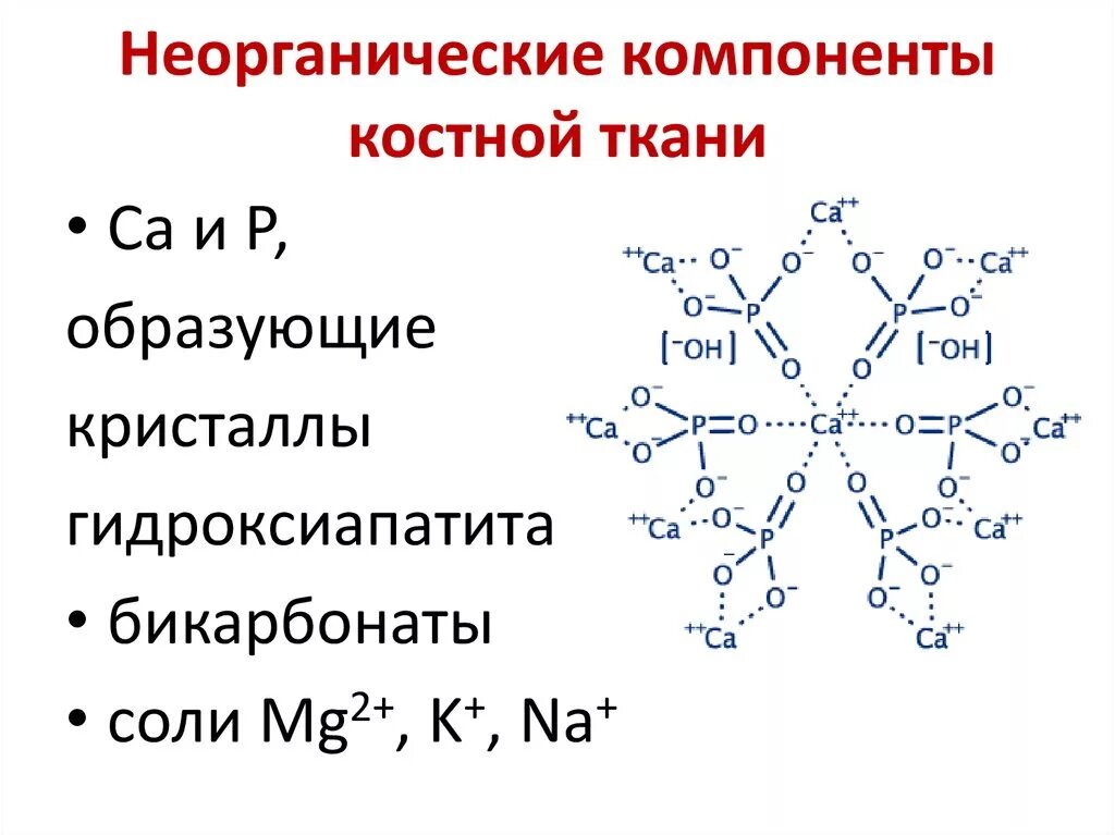 Органические соединения кальция. Гидроксиапатит кальция строение. Неорганические компоненты костной ткани. Минеральные компоненты костной ткани. Строение кристаллов гидроксиапатита биохимия.