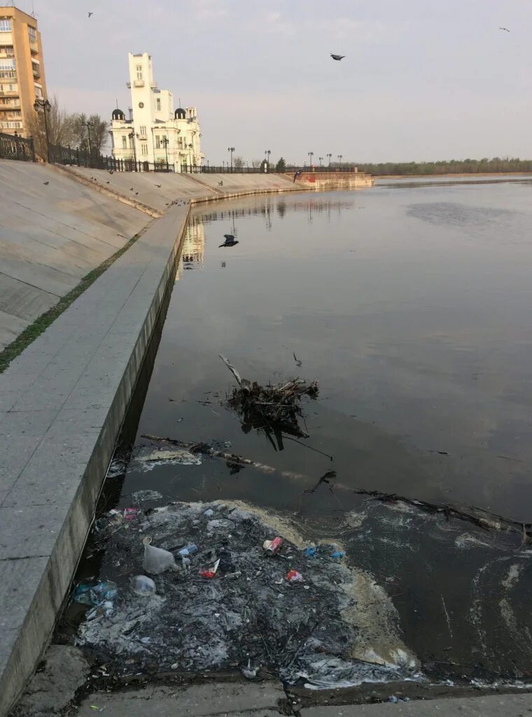 Волга загрязнение воды Астрахань. Загрязненная Волга в Дзержинске. Загрязненная Волга Нижний Новгород. Волга грязная Астрахань.