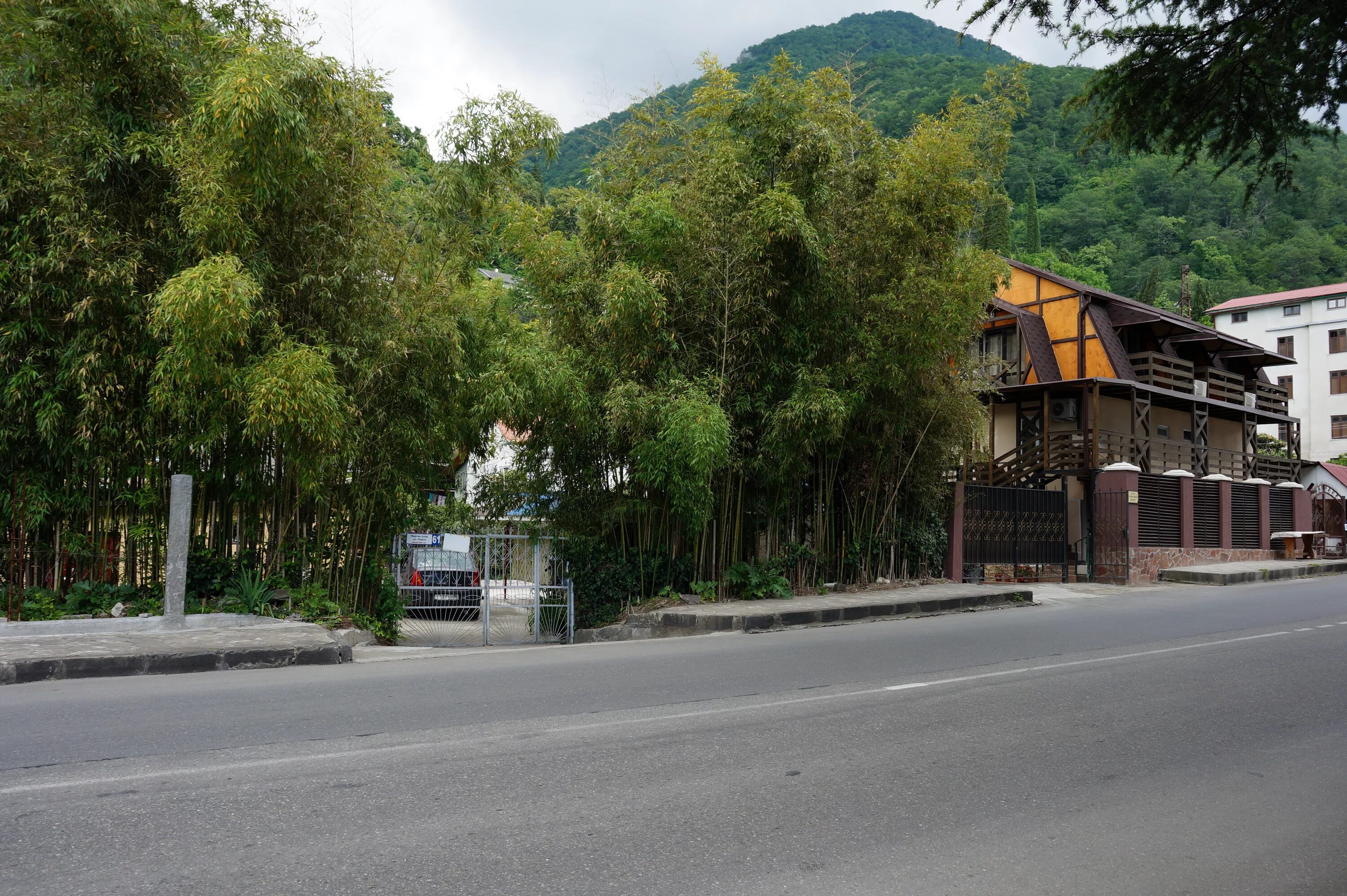 Гагры пр ардзинба. Проспект Ардзинба Гагра. Гагра Ардзинба 61. Гагра, проспект Ардзинба, д. 61. Проспект Ардзинба Гагра кафе.