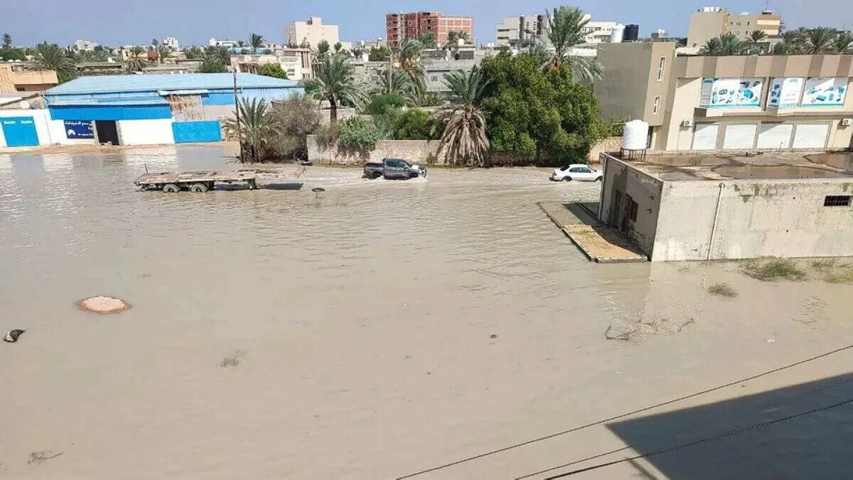После потопа after the flood
