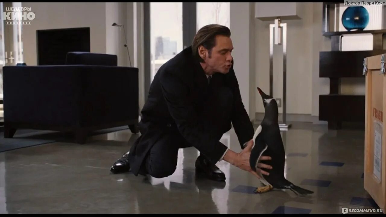 Пингвины мистера поппера 2011. Пингвины мистера поппера фильм 2011. Джим керри пингвины мистера поппера. Пингвины мстера поппера. Пингвины мистера поппера 2011.