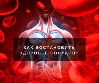Здоровье сосудов