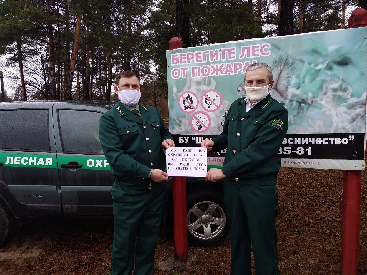 противопожарные мероприятия в лесу. шеврон лесная охрана. лесная охрана чувашии. федеральный государственный лесной надзор лесная охрана. нашивка лесная охрана.