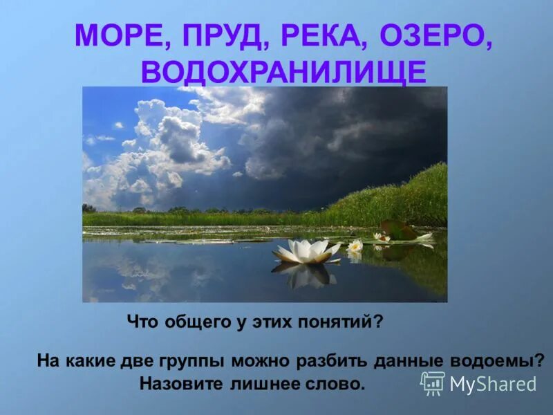 Предложения со словом водоем