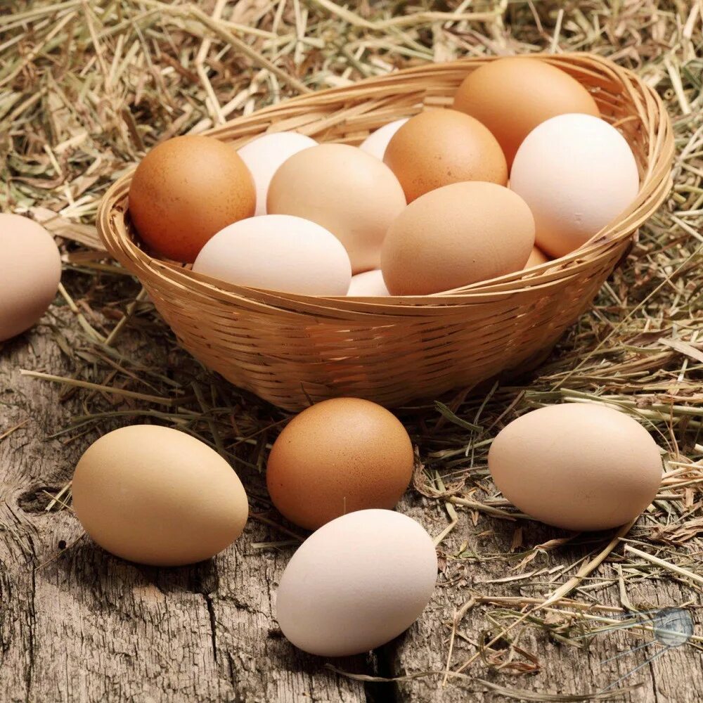 Брянская область куплю яйцо. Яйцо куриное. Домашние яйца. Домашние куриные яйца. Яйца Деревенские.