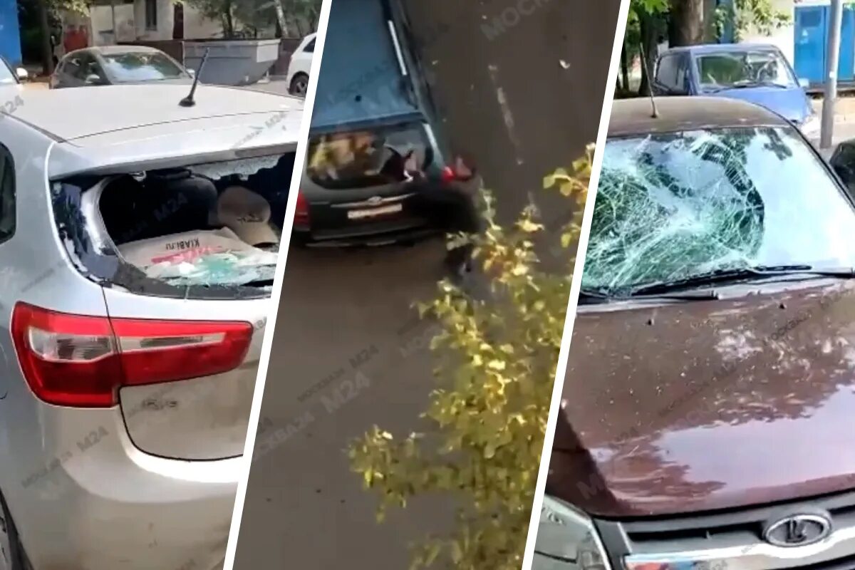 30 декабря разбил машины во дворе. 30 декабря разбил машины во дворе. во дворе на машине сломали дворники. 30 декабря разбил машины во дворе. 30 декабря разбил машины во дворе.