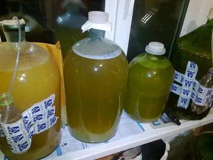 Домашние вино с яблочного сока