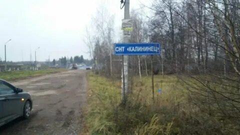 Погода калининец
