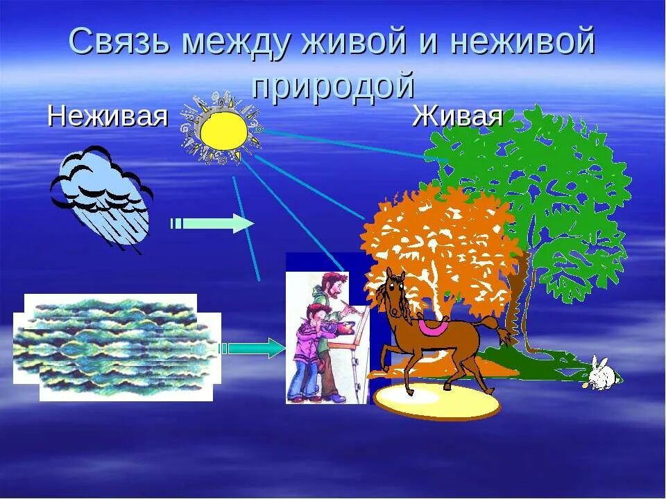 живая и неживая природа. взаимосвязь живой и не дивой природы. неживая природа схема. схема неживой и живоц природа. схема живая и неживая природа 2 класс.