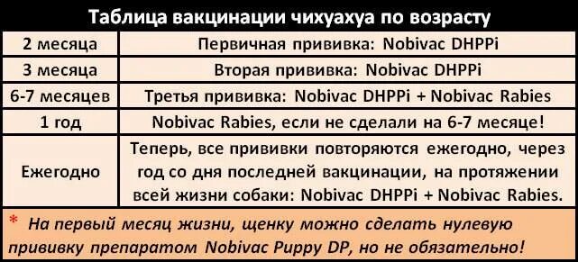 В каком возрасте делают прививку от бешенства