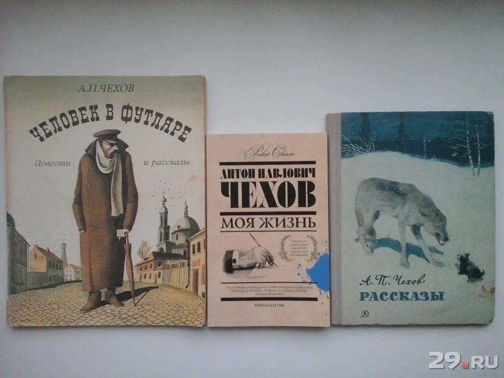 а. чехов рассказы. п. а. собака каштанка чехов а,п\.