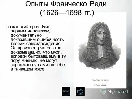 Реди