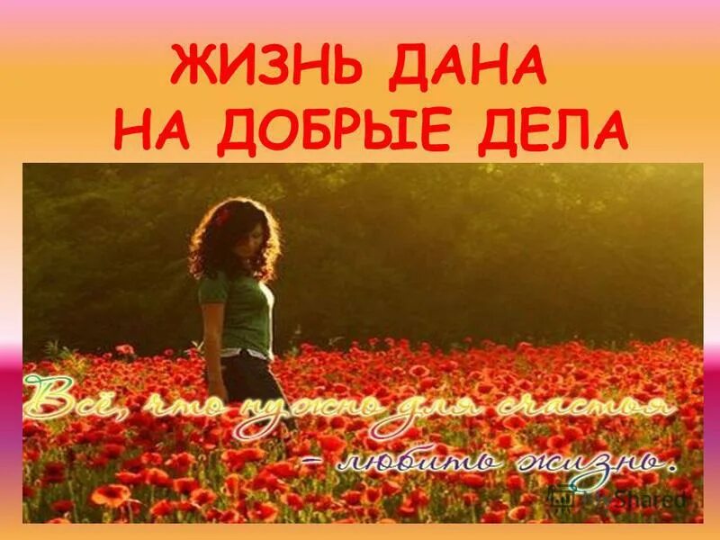 давай добрые дела