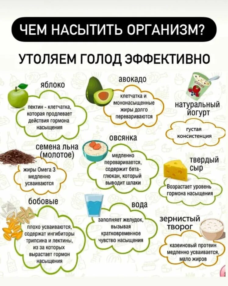 Возможен ли голод. Продукты для утоления голода. как утолить голод. чем утолить голод при диете. продукты утоляющие голод при похудении.
