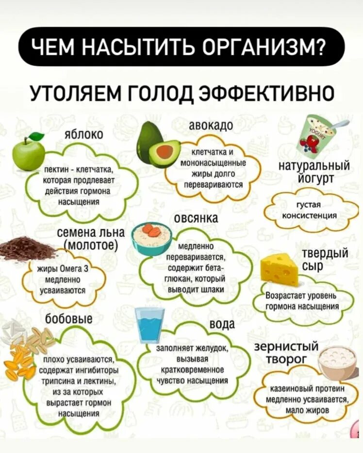 Как отключить голод. Чем можно утолить голод. Продукты утоляющие голод. Продукты для утоления голода. Продукты которые быстро утоляют голод.