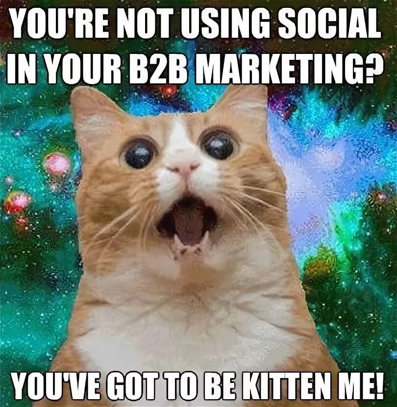 Digital marketing memes. Мемы про маркетинг. Digital marketing Мем. Social Media Мем. Social meme