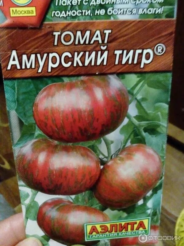 Томаты сорт амурский тигр. Семена томат амурский тигр. томат полосатый тигренок. томат сибирский тигр семена.