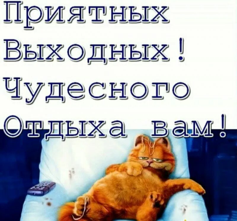 Хочется выходных. Фразы про выходные прикольные. Юмор про выходные. Выходные смешно. Цитаты про выходные.