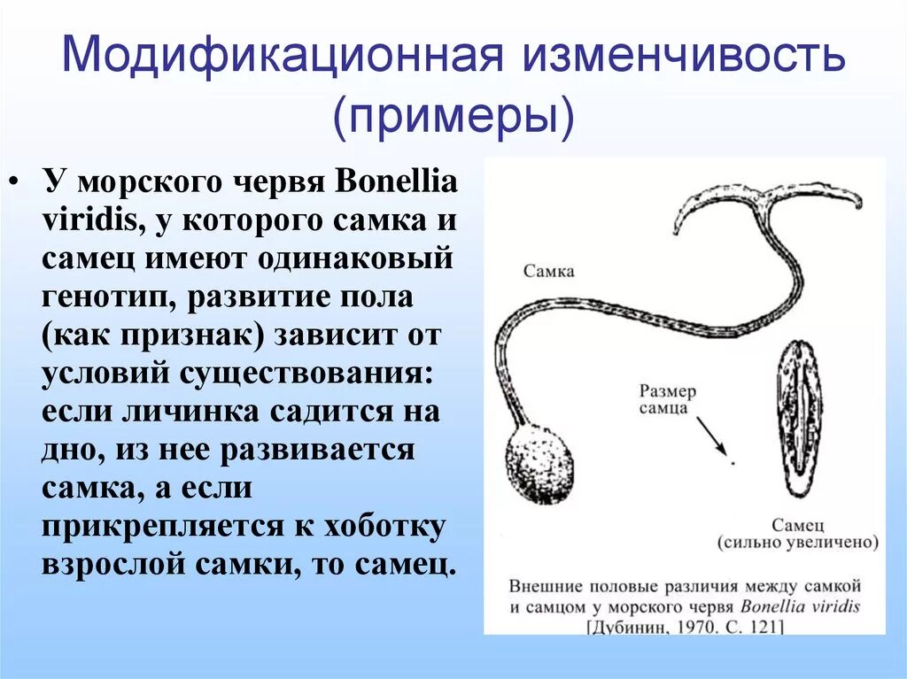 Примеры модификационных изменений