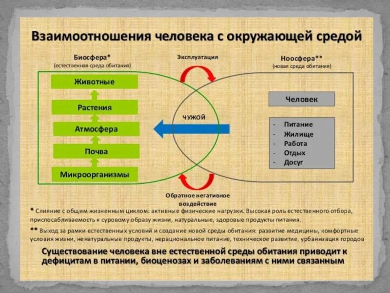 Примеры сред человека. Взаимодействие человека с окружающей средой. Взаимоотношения человека с окружающей средой. Взаимосвязь человека с окружающей средой. Процесс взаимодействия человека с окружающей средой.