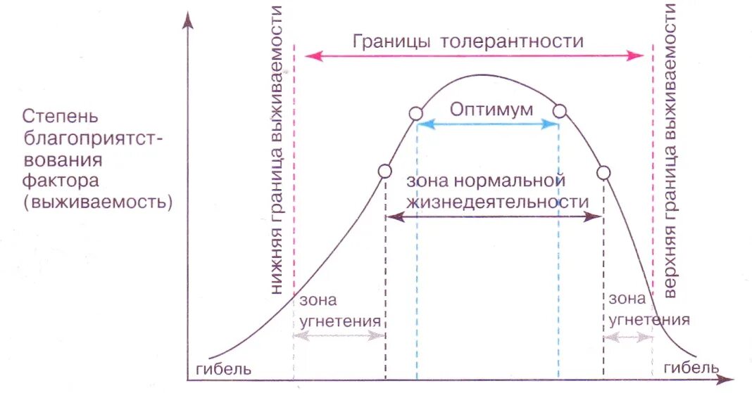 Графическое изображение закона толерантности в. Шелфорда. Закон толерантности в. Шелфорд 1913 г.. Закон толерантности Шелфорда график. Шелфорд закон оптимума. Рост толерантности пав