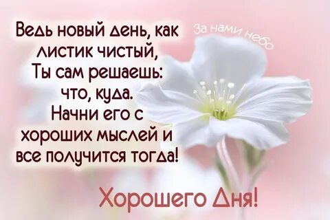 Ведь это новая жизнь