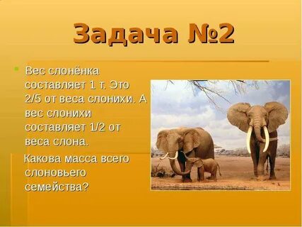 Задача слон