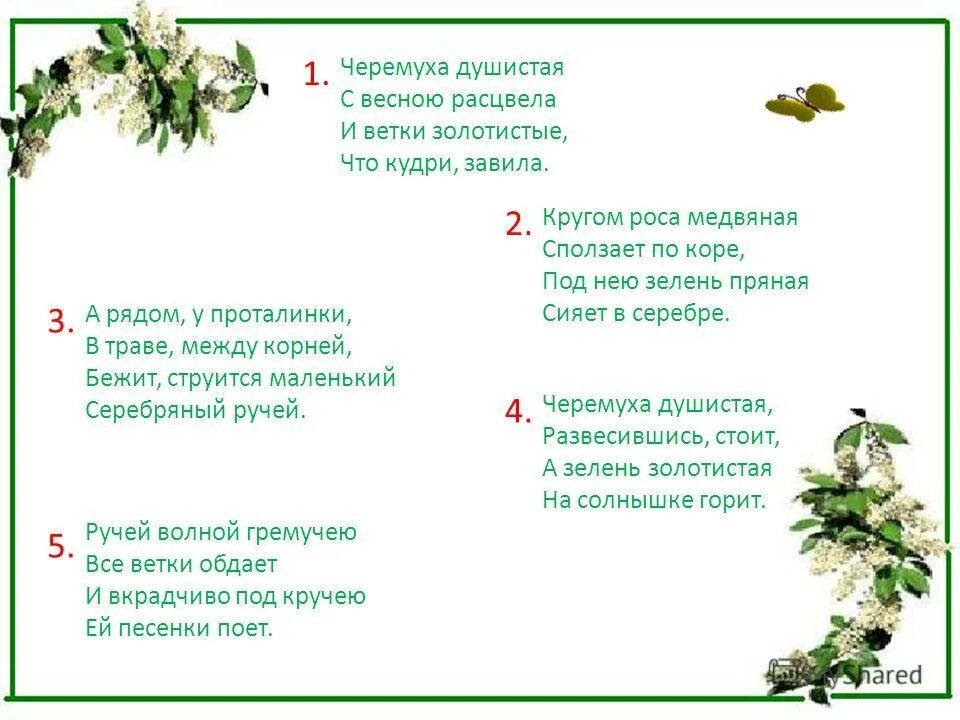 расцвела черемуха есенин. под нею зелень пряная сияет в серебре. сергей есенин черёмуха душистая с весною расцвела. "черемуха". под нею зелень пряная.