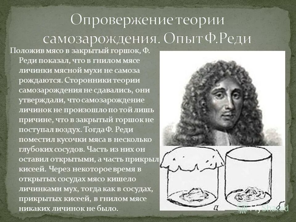 Гипотеза самозарождения Франческо реди. Теория Франческо реди. Опыты Франческо реди и Пастера.