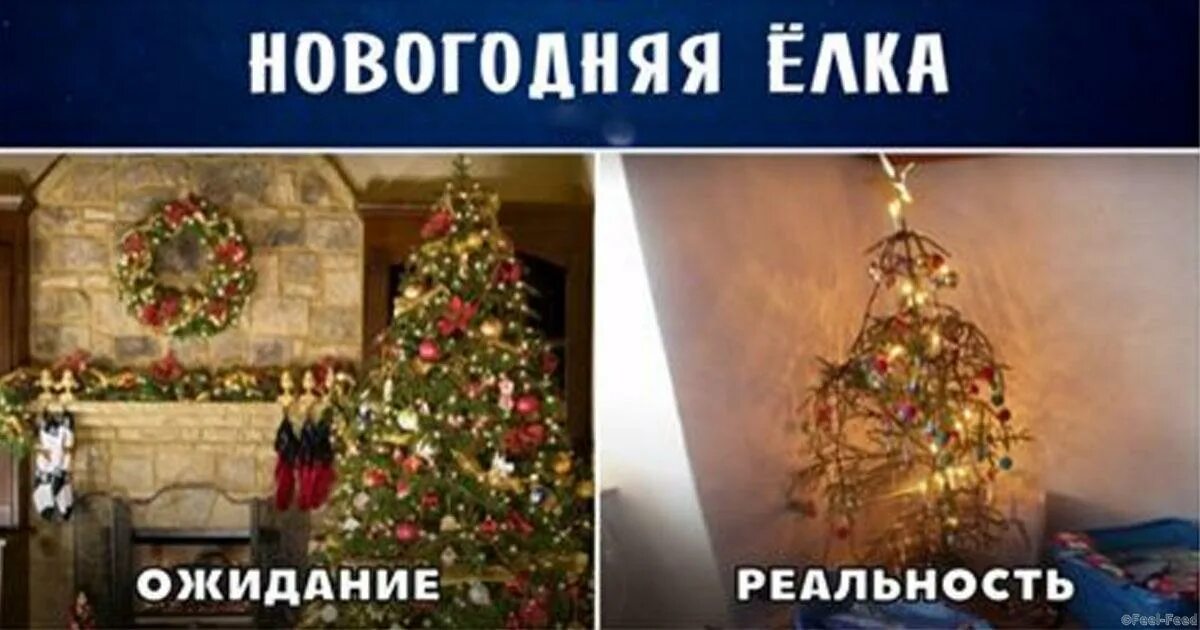 новый год ожидание реальность. корпоратив ожидание и реальность. новый год ожидание реальность. новый год реальность. ожидание реальность тусовка.