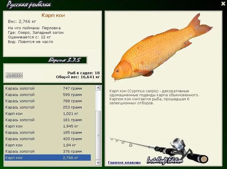 Кой кой по месяцам. Хато японские карты. Таблица кормов для аквариумных рыб. Японская колода ханафуда. Игральные карты ханафуда.