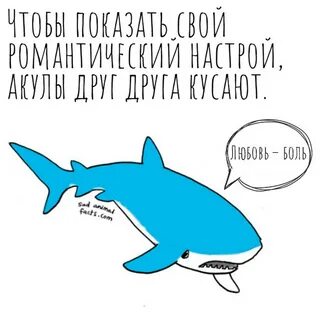 Факт мил